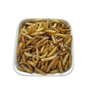 dpat-product插图10