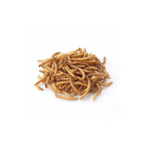 dpat-product插图2